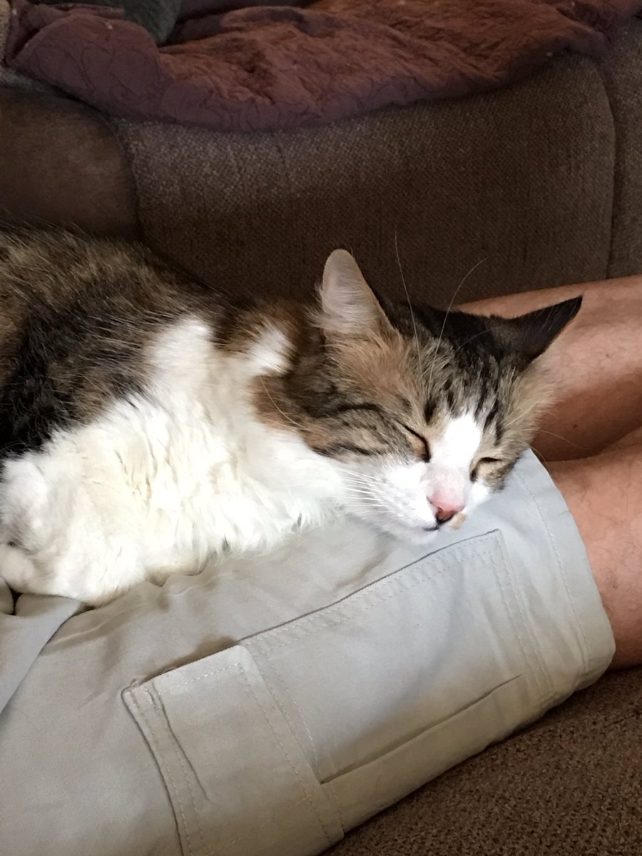 jrush64's tweet photo. Thank you all for your thoughts and prayers for my two boys it helped a lot! https://t.co/rZqypKgLRv