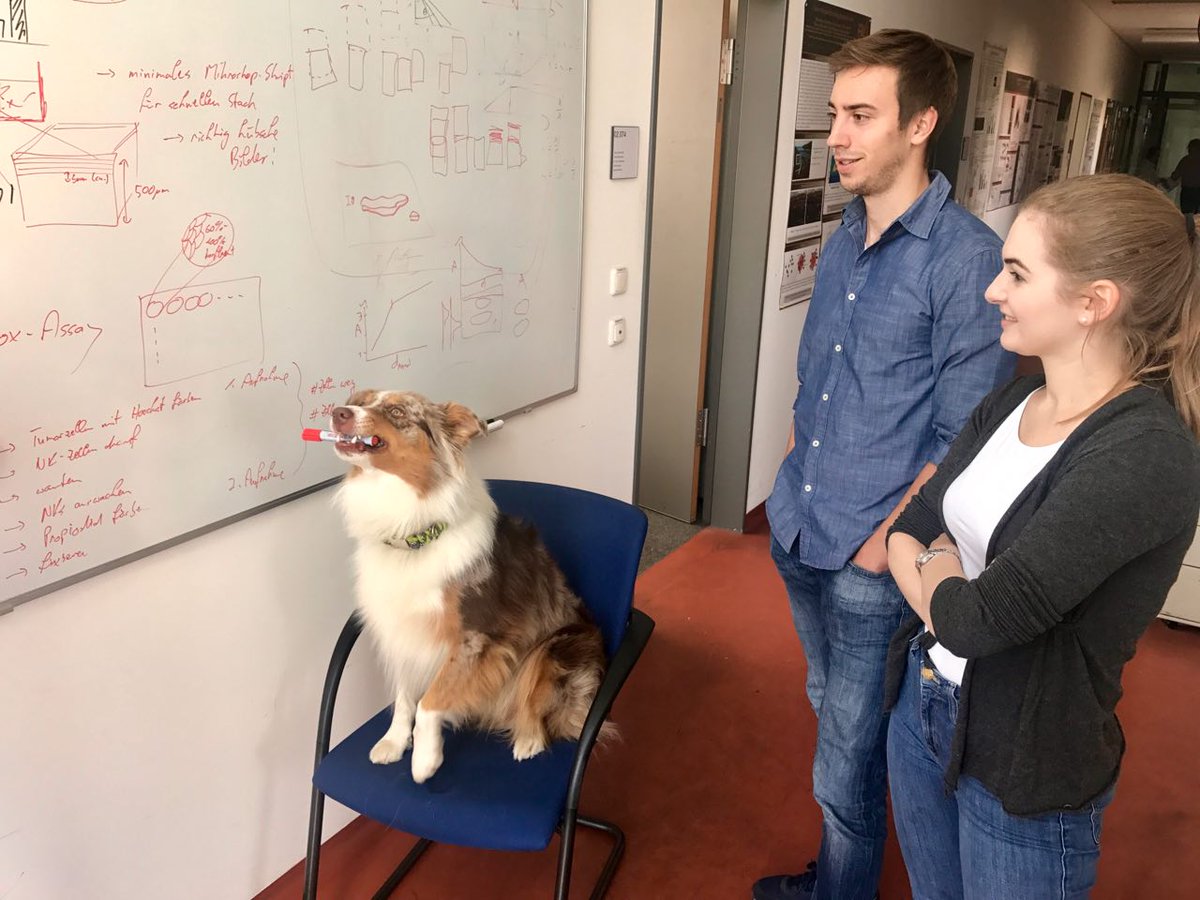DjangoPhysics's tweet photo. Explaining cytotox assays to the Master's students.
#science #Cytotox https://t.co/jWeDHkP3bS
