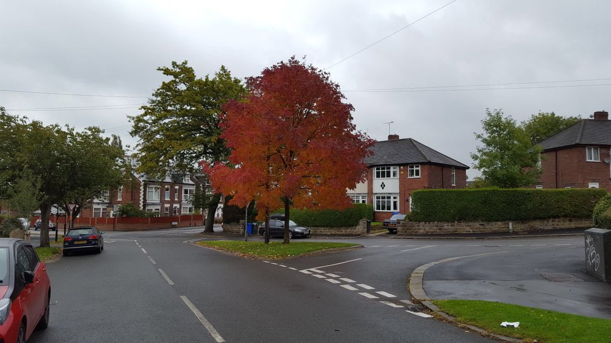 TerrainTech's tweet photo. Carrying out a #tree #hazard #survey for the #local #authority.
Autumn is coming... https://t.co/scaZ51hRii