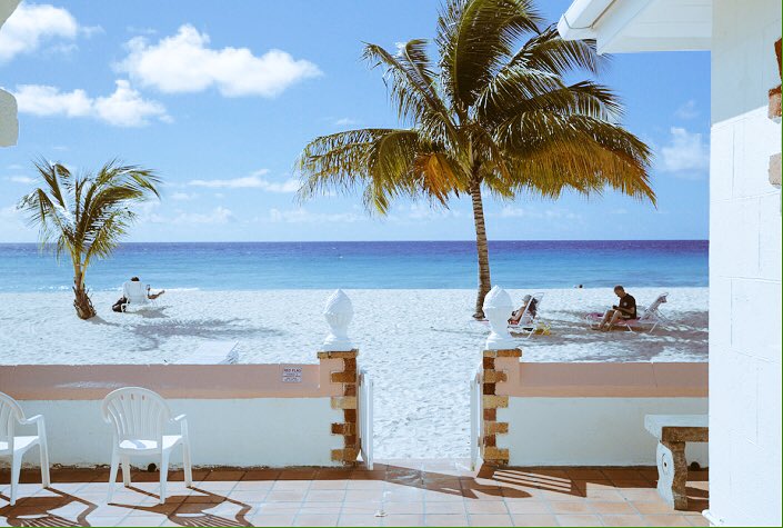IntimateHoliday tweet picture