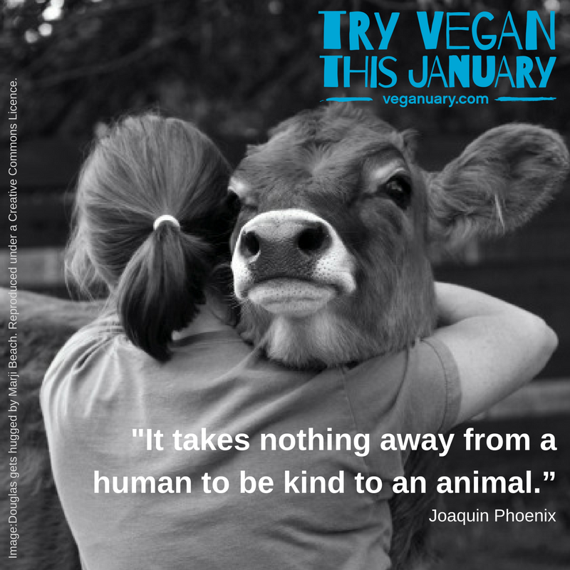 veganuary's tweet photo. Kindness, always. ❤️ https://t.co/lnEh461vo3