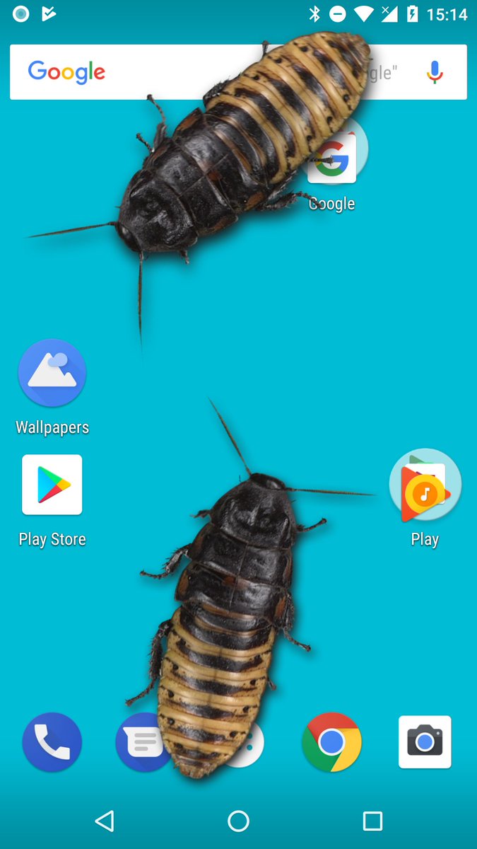 Just4fun Mobile On Twitter Disgusting Cockroaches Walks On The Screen Of Your Friends Phone Download Excellent Prank Android App Now Https T Co Grueivngoy Https T Co Cmaelitfgc
