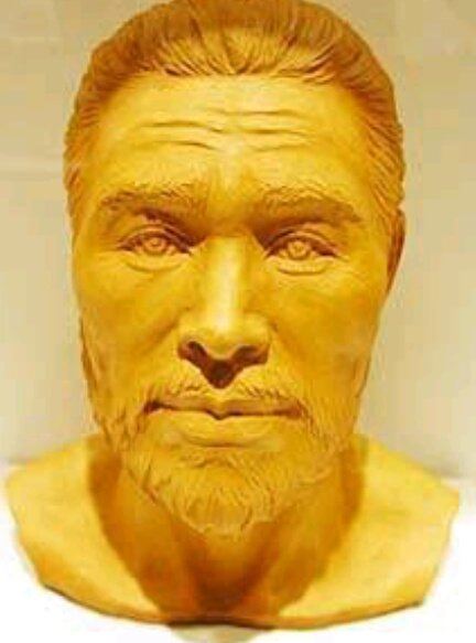 ٩ Cڡu و على تويتر この縄文人モデルがうちのとーちゃんに似てる 私は弥生顔なのに ちなみにウインクで唇が動く人は弥生 人の血が濃いらしいよ ウインク出来ないしバッチリ唇動くわい ٩ Cڡu و على تويتر この縄文人モデルがうちのとーちゃんに似てる 私は弥生顔なのに ちなみにウインクで唇が動く人は弥生 人の血が濃いらしいよ ウインク出来ないしバッチリ唇動くわい