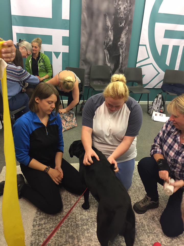 doggydayscreche's tweet photo. For us it's "All about the dog" so some of the team did a Canine First Aid course recently!   #doggydayscreche #digitalsharing #dodigital https://t.co/kQGf11IKyz