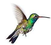 Dunsen_Design's tweet image. A Beginner's Guide to Google Updates (and how they impact your SEO):

ow.ly/JWVQ30fhlBH