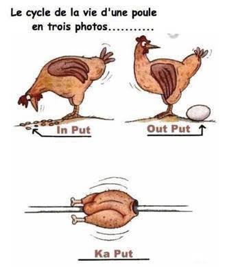 Alexia Cautier Trop Lol Blague Poule Poulet Chickenhour Humour Lol Alexia Cautier Trop Lol Blague Poule Poulet Chickenhour Humour Lol