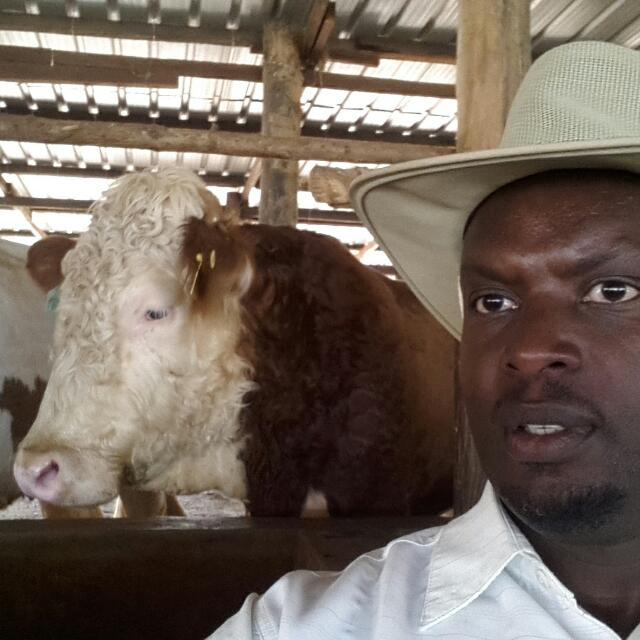 MugemaV's tweet photo. Naje gusanga ntazindinka igiramatameza nkizi ndetse nifumbire orora kinyamwuga uhinge byumwuga uzabona inyungu nyishi https://t.co/V3Crv88Iec