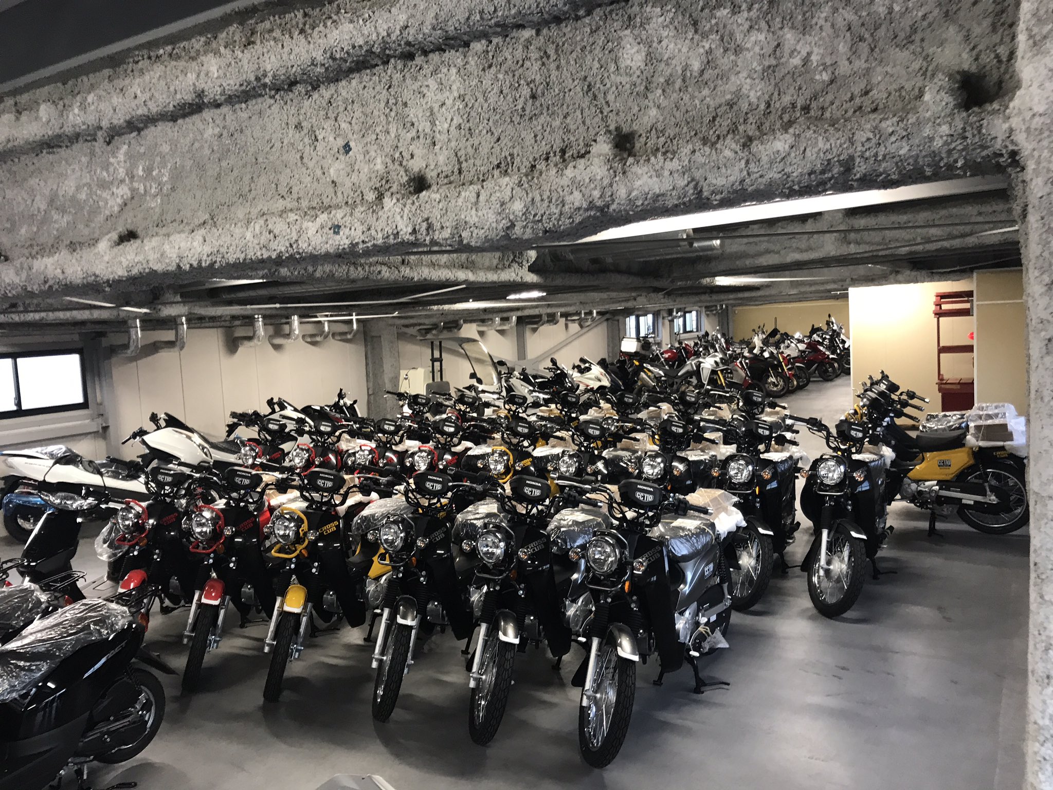 もやし税込9円 ข จ กรยานสายร ง クロスカブフェア開催中 なお 開催店舗のホンダドリーム茅ヶ崎店店長よりコメントを頂いております やーばいっしょ 気持ち悪いっしょ笑 でも気持ちいいわ笑 との事です クロスカブのお見積もりは是非 ホンダ