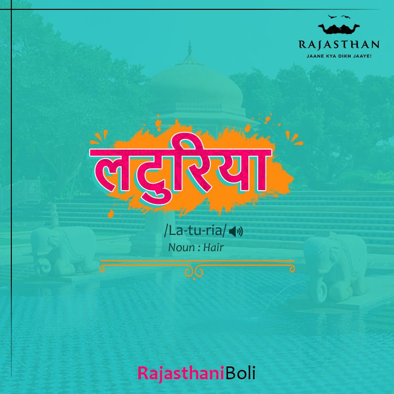 my_rajasthan's tweet photo. You won't need a guide in Rajasthan if you have this one! #SlangGuide #RajasthaniBoli #MyRajasthan https://t.co/Ah4b5Wf7V2