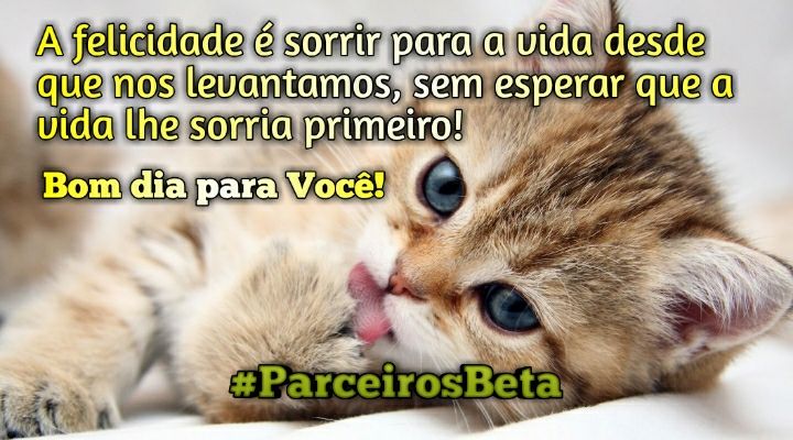 #PARCEIROSBETA