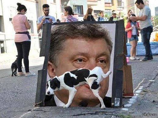 Львовщину сегодня хотят разжечь различными проблемами, - Синютка - Цензор.НЕТ 669