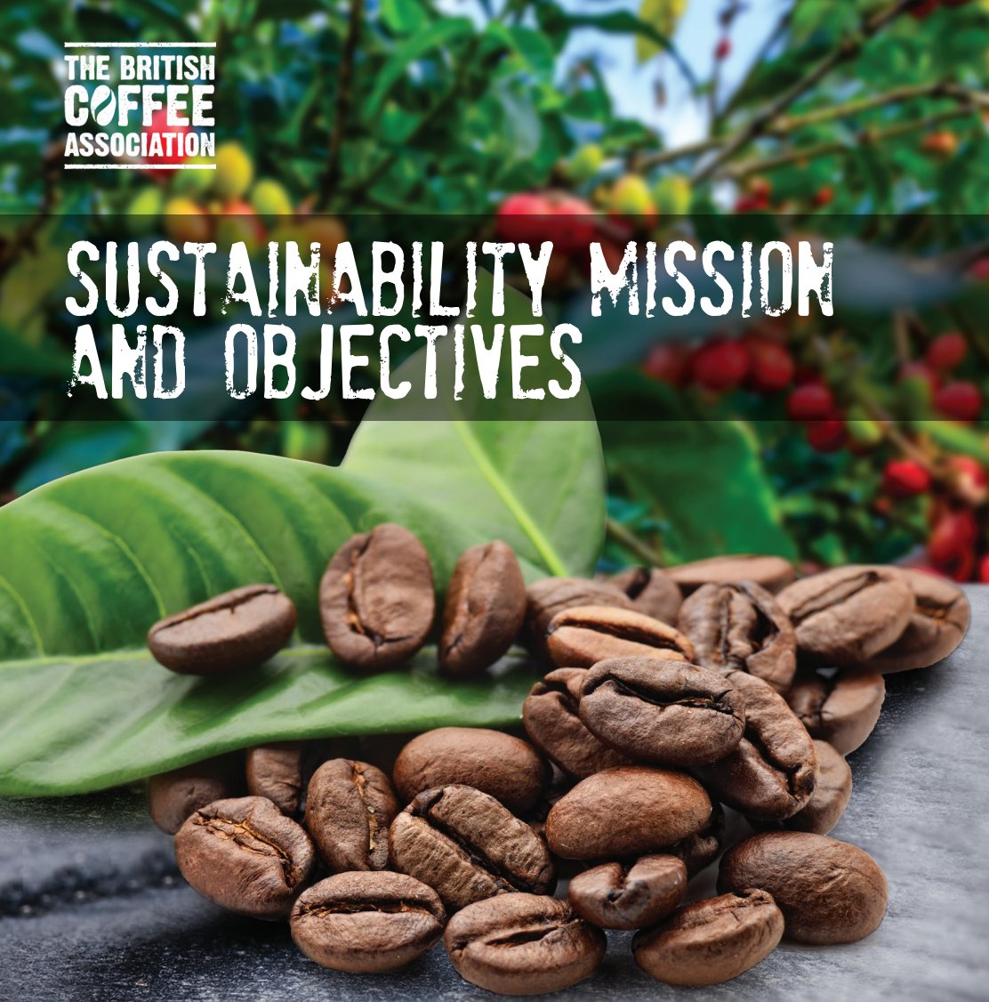 Green mountain coffee pdf