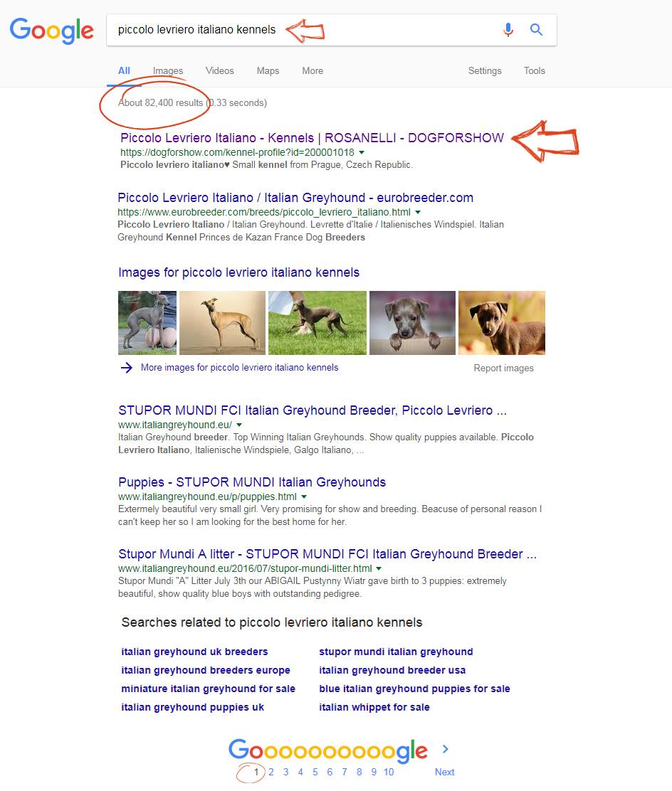 DOGFORSHOW (@dogforshow) on Twitter photo Your best position in #Google search with <a href="/DOGFORSHOW/">DOGFORSHOW</a>
#startup #development #developers #developing #breeding Your best position in #Google search with <a href="/DOGFORSHOW/">DOGFORSHOW</a>
#startup #development #developers #developing #breeding