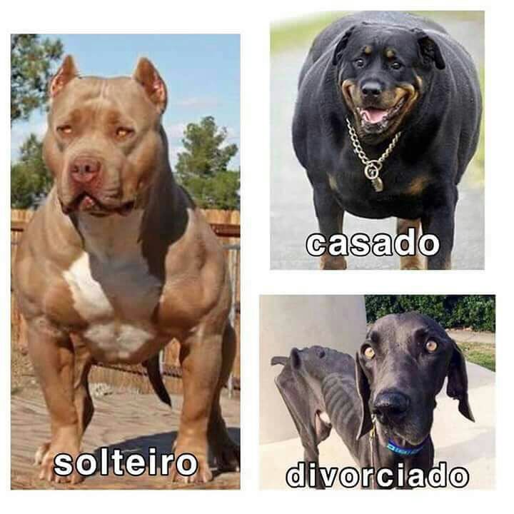 Plattinni#timbeta (@michelplattinn1) on Twitter photo 