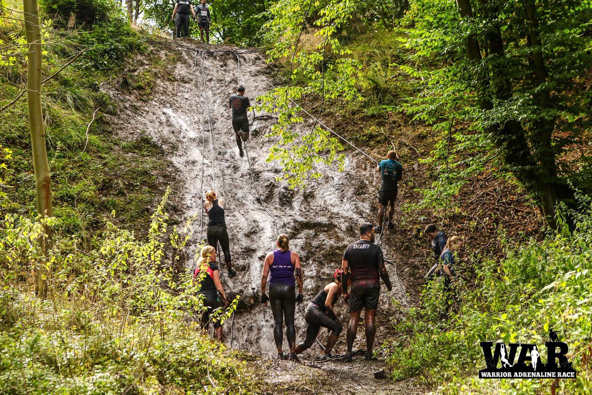 WAR Race tweet media