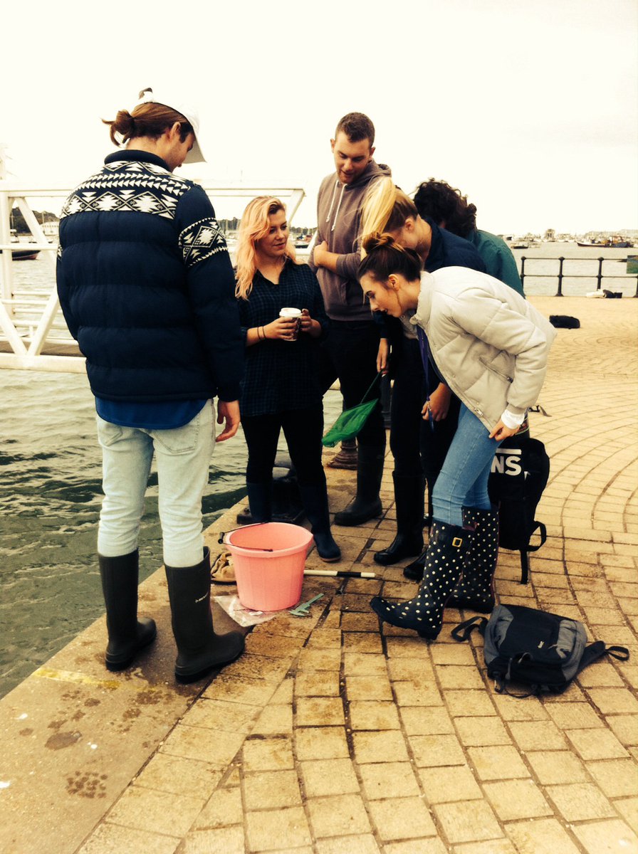JosiePegg's tweet photo. First @Sparsholt_Coll BSc and FdSc Marine ecology and Fisheries field trip. Crab surveys at Hamble! #OutdoorsyScientist #Catchingcrabs https://t.co/D7iNzVpZxg