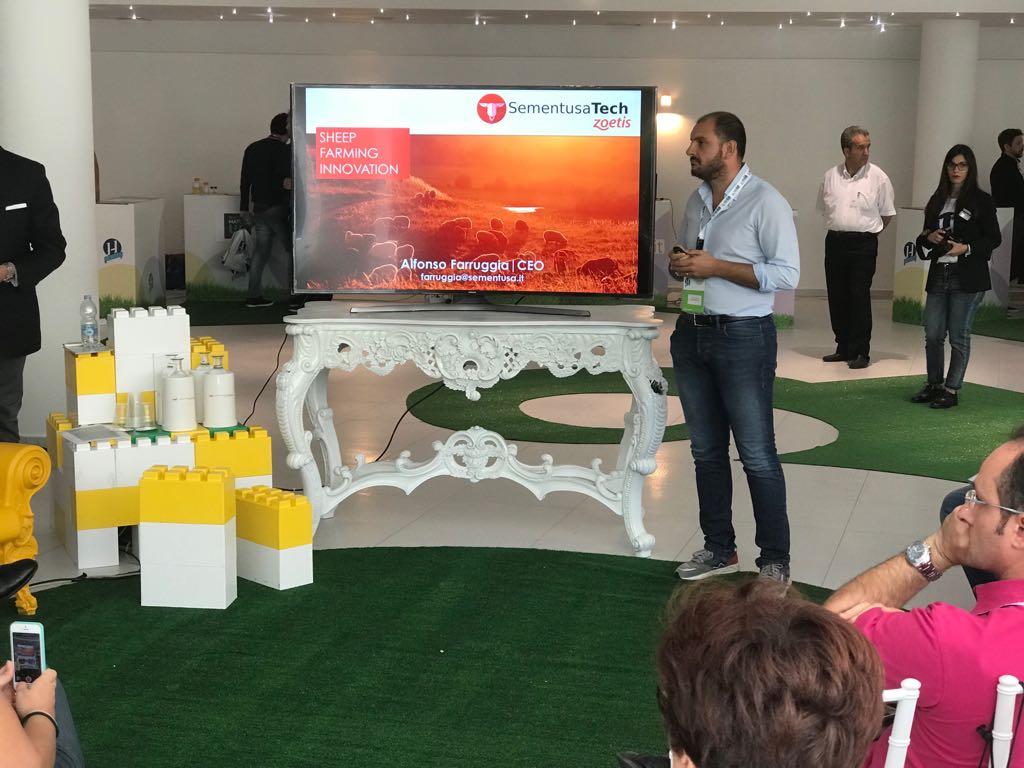 DayOneLab's tweet photo. Esplorando nuovi "campi", in tutti i sensi! Al @HeroesMaratea @alfarruggia e la sua Sheep Farming #Innovation @SementusaTech 
#Heroes2017 https://t.co/xDS7vouFYU