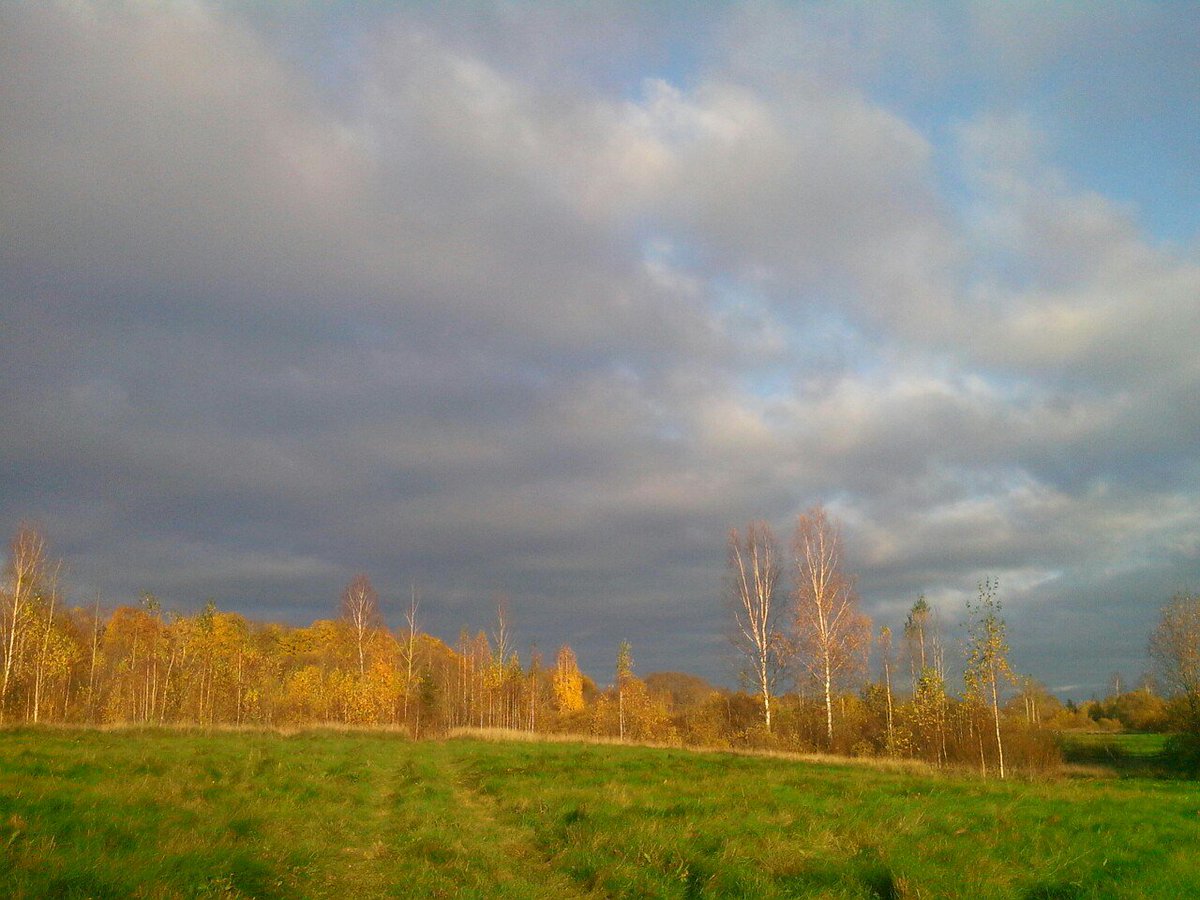 Ровно в восемь будет осень..#новгородчина
