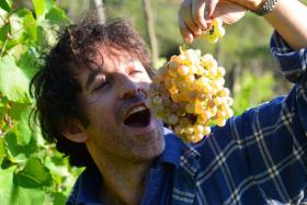 biodynamicisbe1's tweet photo. Love #BDWine? Love #Italy and #amazing food? Top up your Joy Levels https://t.co/rbtJuNiXwS @PalazzoTronconi @food_writer @allanjenkins21 https://t.co/oBYahcgg7b