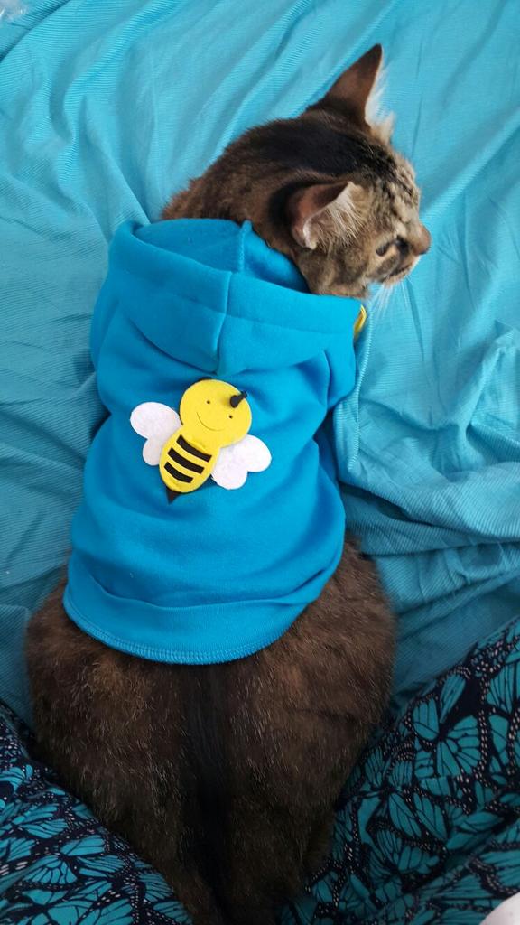 Hayati'nin kış sezonu koleksiyonu :)))))) 😊