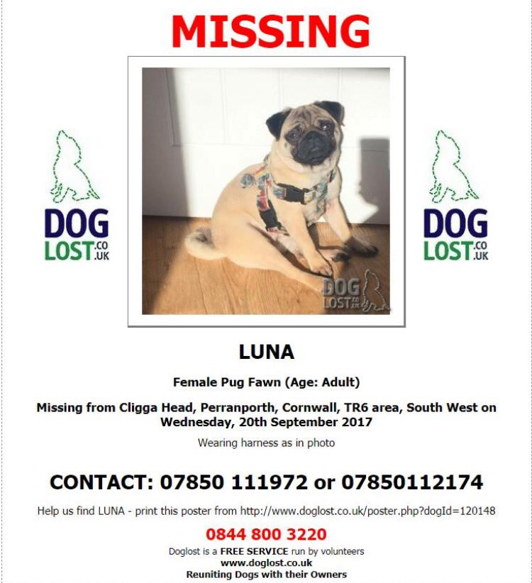 POLDHU BEACH CAFE tweet media