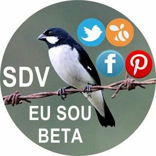 Bom diaaaa! <a href="/ParceirosBeta/">#PARCEIROSBETA OFICI</a> e <a href="/BetaQuerLab/">#BetaQuerLab</a> a luta continua, falta pouco! Preciso de repin
#BetaQuerLab 
#ParceirosBeta