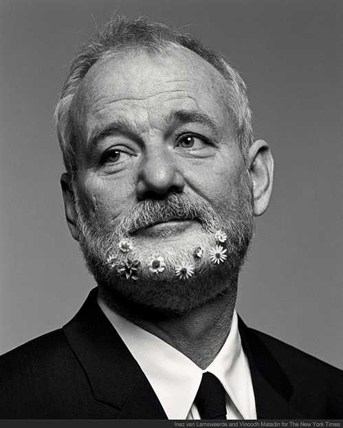 Happy birthday Bill Murray! He is 67 today! 