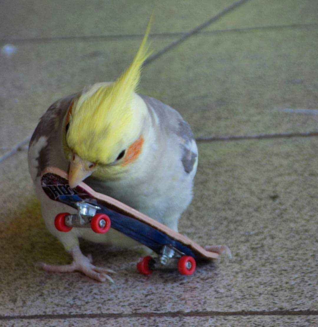 Vamos lá.
Mais um Rt
#rt94 #BetaQuerLab #BetaAjudaBeta #BetaSegueBeta