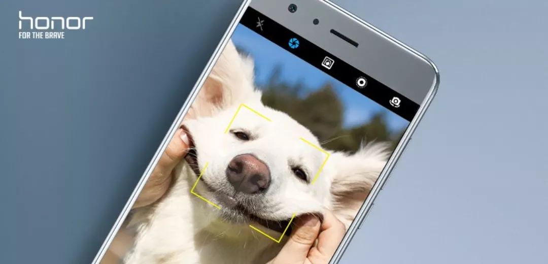 HonorClubIndia's tweet photo. #SnaPet - Win an #Honor6X by submitting cute photos of your pet at Honor Community - https://t.co/iYgXrUrQfN #HonorPhotography .One day left https://t.co/xxEIu6sPlP