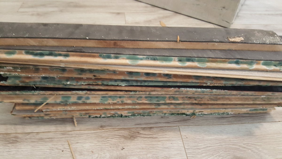 Hot water tank burst causing mold to grow in 48 hours on this pergo floor. We got it cleaned up and the tenents are breathing better today.