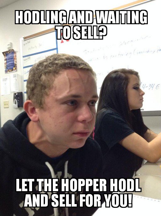 cryptohopper's tweet image. #HODL