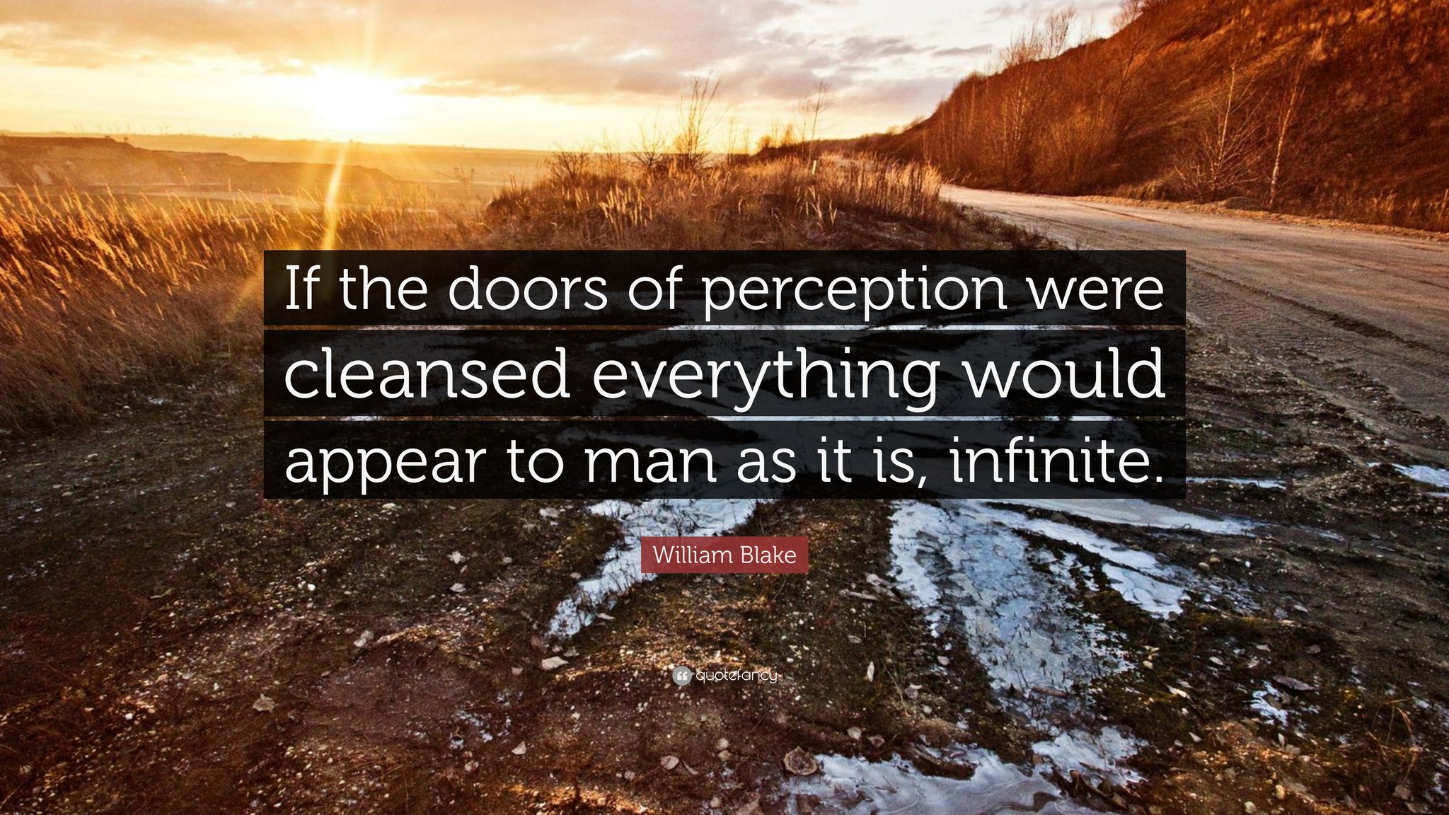 Life On Twitter If The Doors Of Perception Were Cleansed