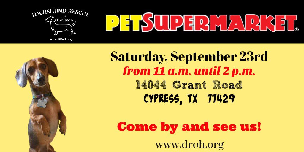 DROH_Houston's tweet photo. This Saturday
September 23. 11 - 2. 14044 Grant Road Cypress TX. See ya there! https://t.co/jEehNuv6IA