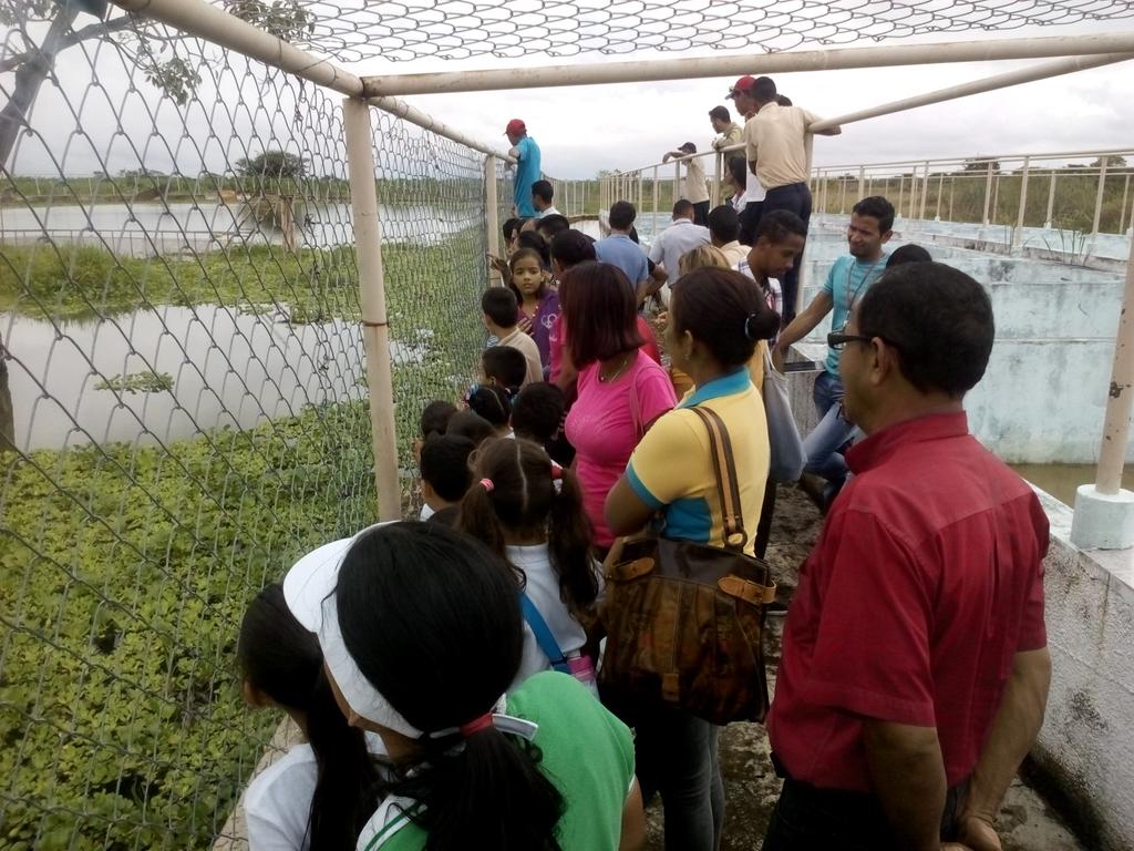 InaturApureVen's tweet photo. Con el apoyo Gobernador @RCarrizalezPSUV  y a la E.P.S #TransApure se realizó la #RutaEcoTurísticaAlmaLlanera  @Marlenycdc https://t.co/XosK21Df8E