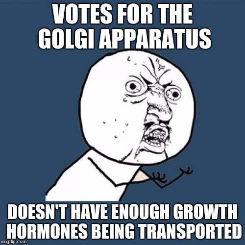Cytoskelet_on's tweet photo. @murphyapbio @goolgii5 A malfunction of the golgi apparatus can cause birth defects #healthyskeleton4lyfe #skeleton4all https://t.co/Y3BXWnZEuI