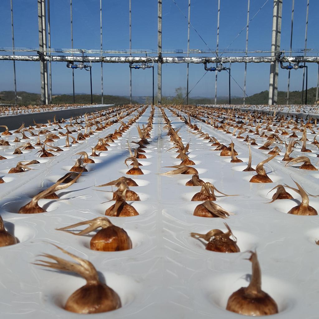 Alessandro Piana tweet media