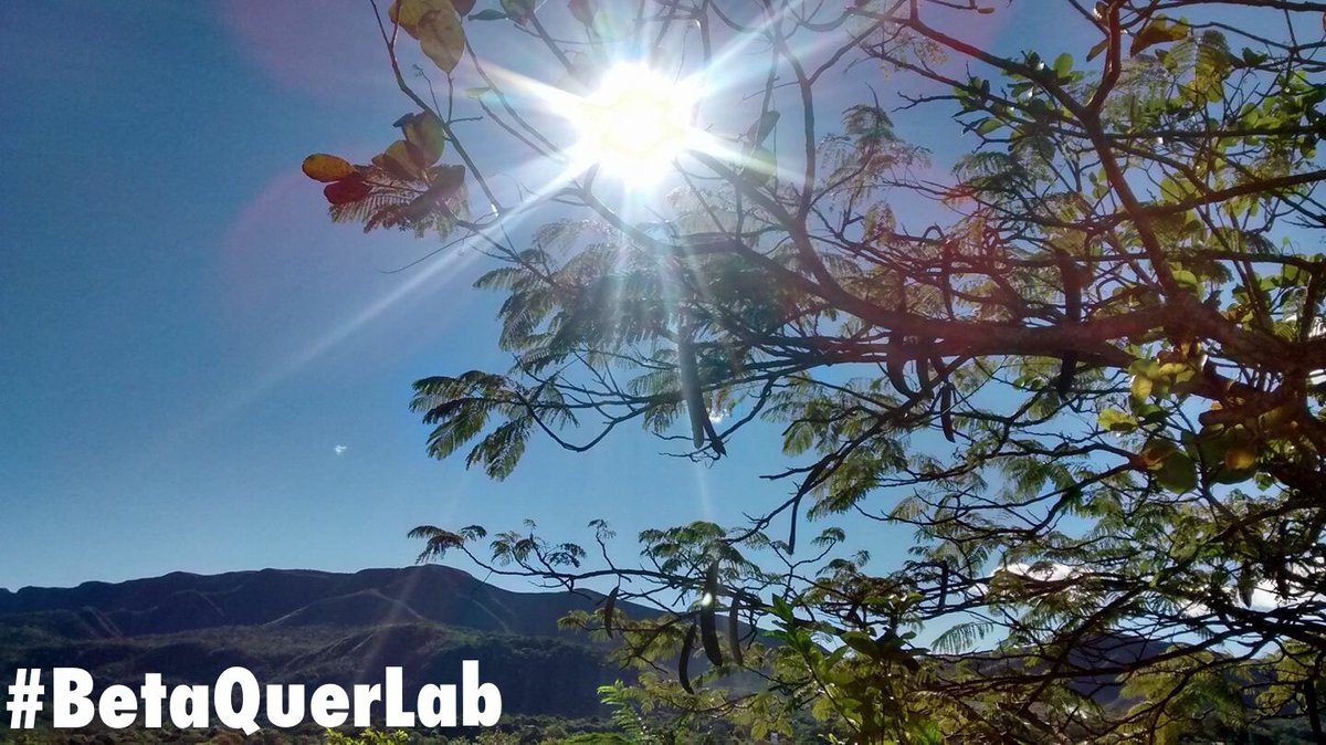 Boa tarde betaiada!
Sol maravilhoso!
#BetaQuerLab