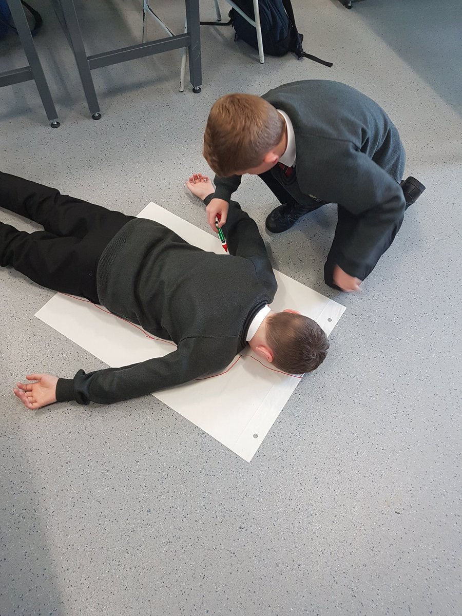 ModelSci's tweet photo. Year 8 enjoying Cells Tissues and Organs. Common Assessment due next week #modelcell https://t.co/kpHtLd8tIu