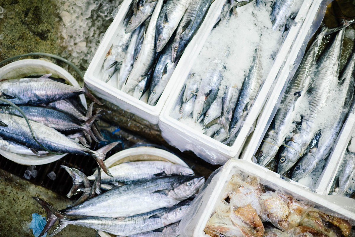 Le differenze tra #pesce #pescato o di allevamento si possono notare anche da alcune caratteristiche morfologiche. >>ow.ly/VoBP30fkuLC