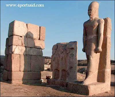 EgyptInPhotos's tweet image. #PortSaid Ashtoum el-Gamil is touted to be a major stop for the migratory birds

*But Did u hear about #Tennies b4?🙋
#Protectorate #Egypt