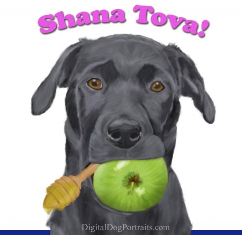 No practice tonight. L'Shana Tovah to our families observing this evening; may you have a sweet new year.  שנה טובה לכולם , שנה הבא בירושלים