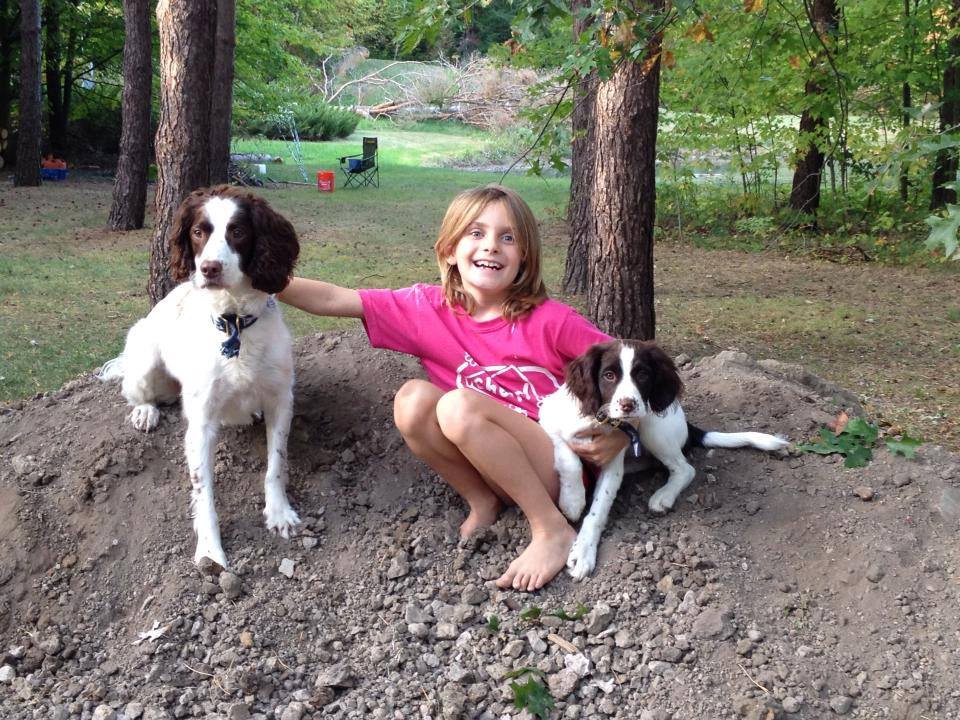 CPrincing's tweet image. #GanderDogs