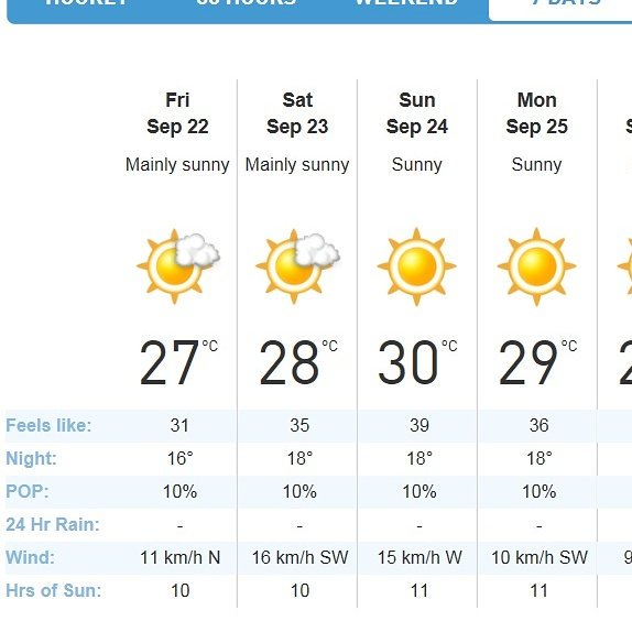 Brighton Applefest tweet media