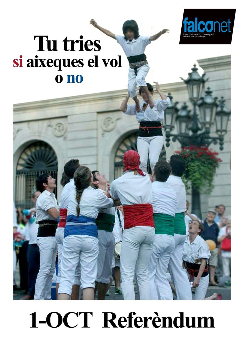 CanalFalco_Net's tweet photo. Tu tries SI aixeques el vol o NO #ref1oct https://t.co/xbQxM50K1C
