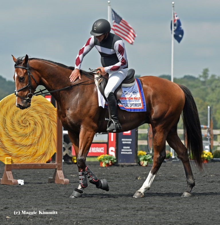 SagamoreRacing's tweet photo. @HerringswellStb @RRP_TBMakeover and thank you @Maggie_Kimmitt for our favorite pic of the day of Perpetual Optimism ! https://t.co/pLwQHmBWmY
