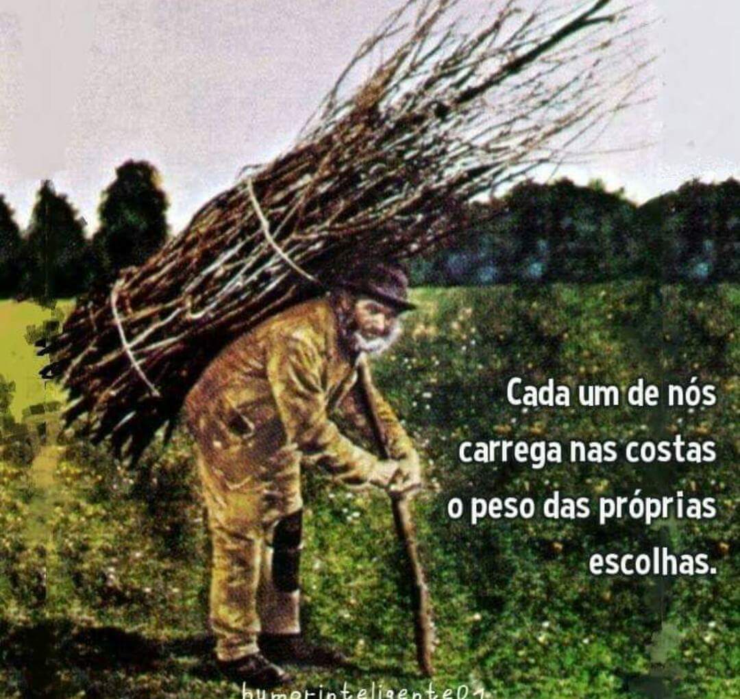 leticiaafc's tweet photo. https://t.co/Xqwy0H93oq