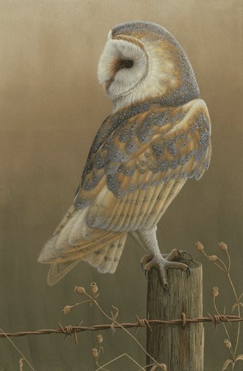 one from the archives for #ThrowbackThursday #barnowlpainting