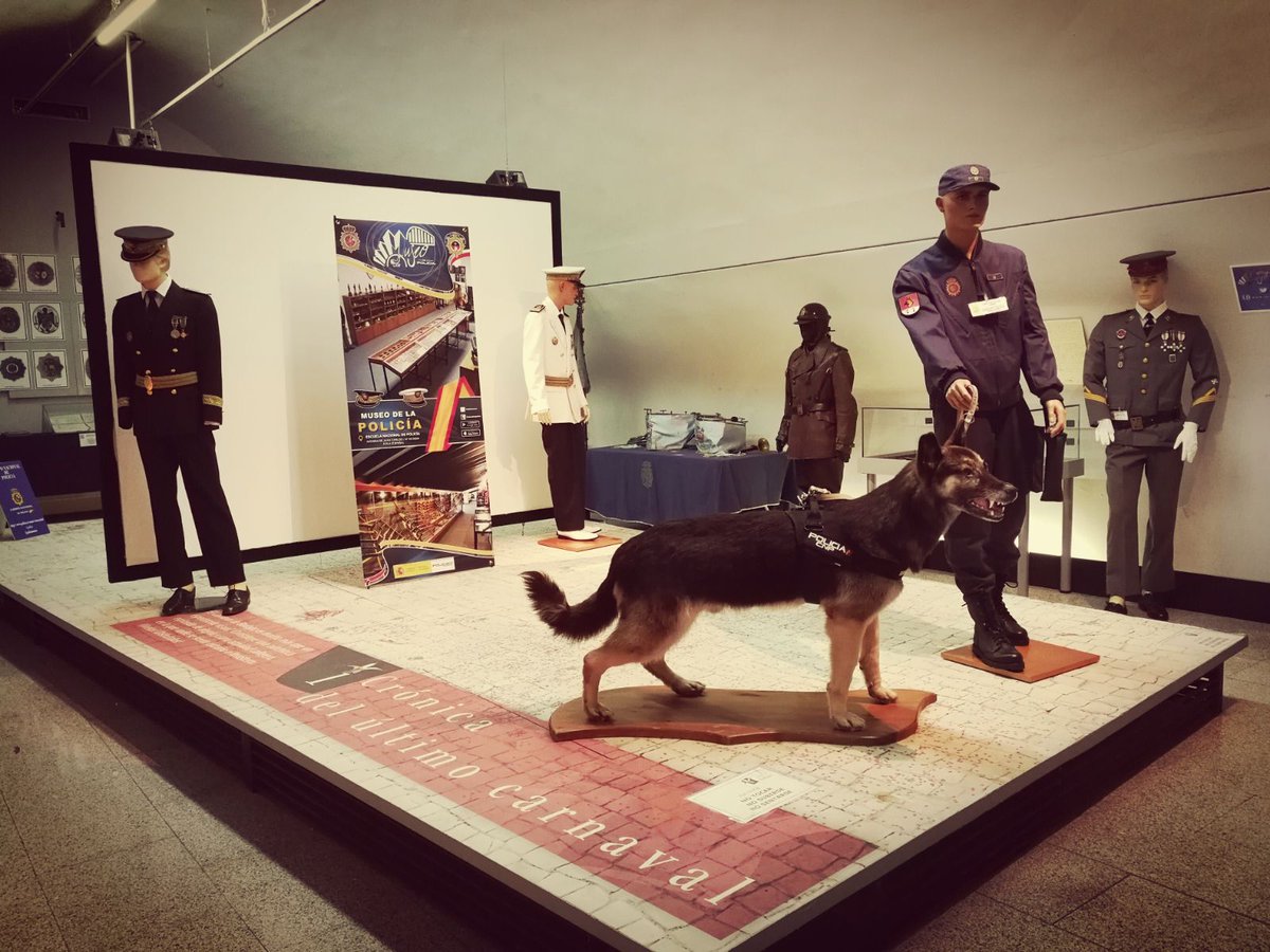 Museo de la Policía tweet media