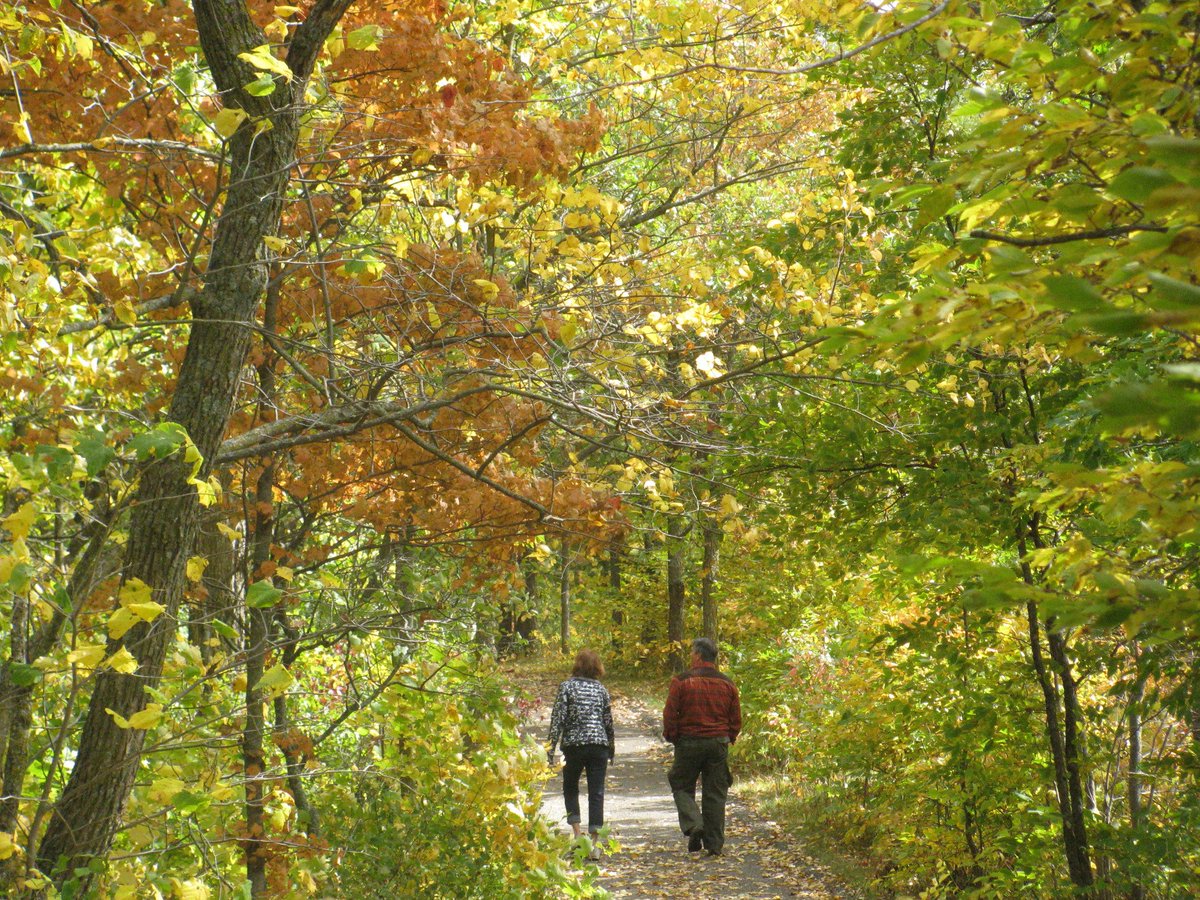 mnstateparks's tweet photo. Thursday #WowofFall updates are coming in! Check our Fall Color Finder &amp; sign up for email updates! https://t.co/So74LwhyhF #OnlyinMN https://t.co/9YOGcjkBhQ