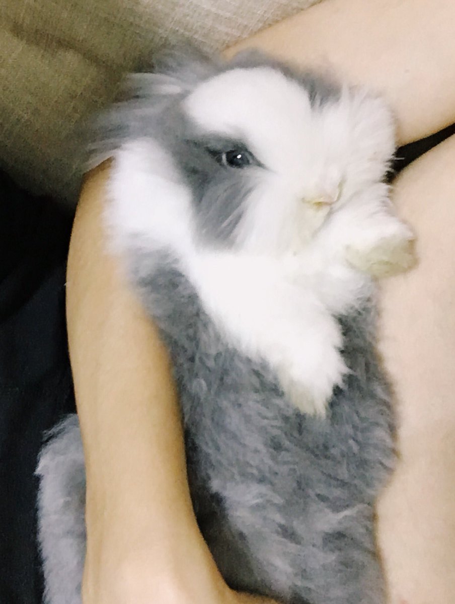 litgull's tweet photo. https://t.co/Dk49M8IBMs